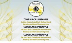 Code black pineapple for sale ,Buy Code black pineapple
