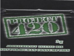 Project 420